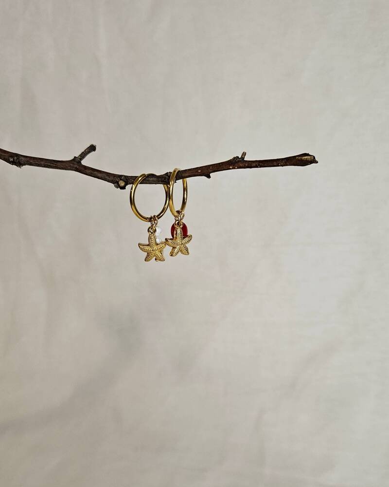 Maki_S_5 Maki S - Slika 1