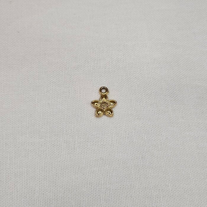 čelik_cvijet_obični čelik cvijet obični - Slika 1