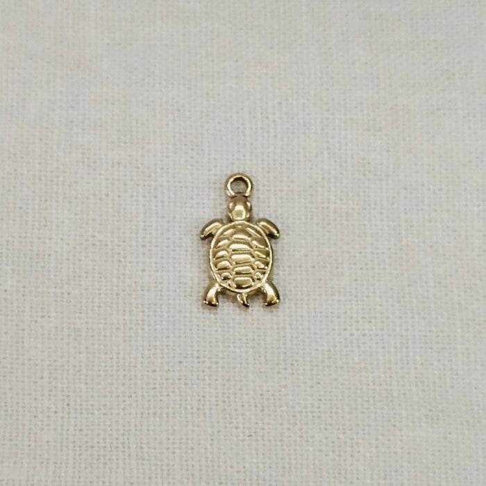 čelik_kornjača čelik kornjača - Slika 1