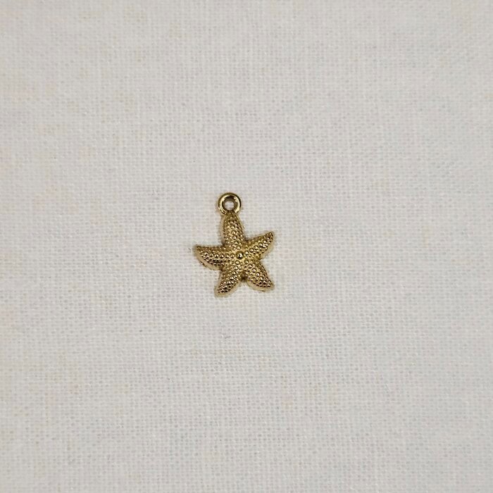 čelik_morska_zvijezda čelik morska zvijezda - Slika 1