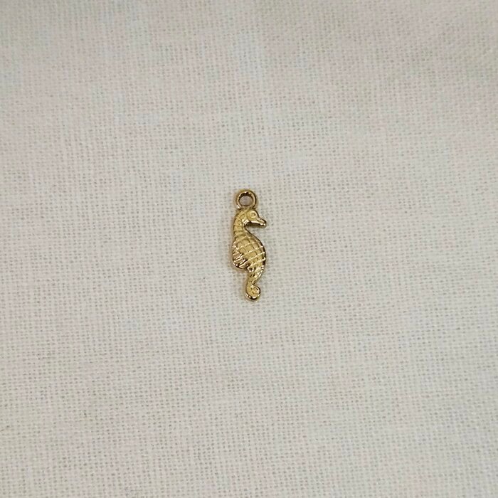 čelik_morski_kon čelik morski konj - Slika 1