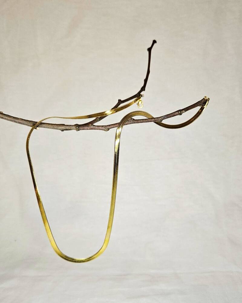 o_Siena_3 Siena ogrlica - Slika 1